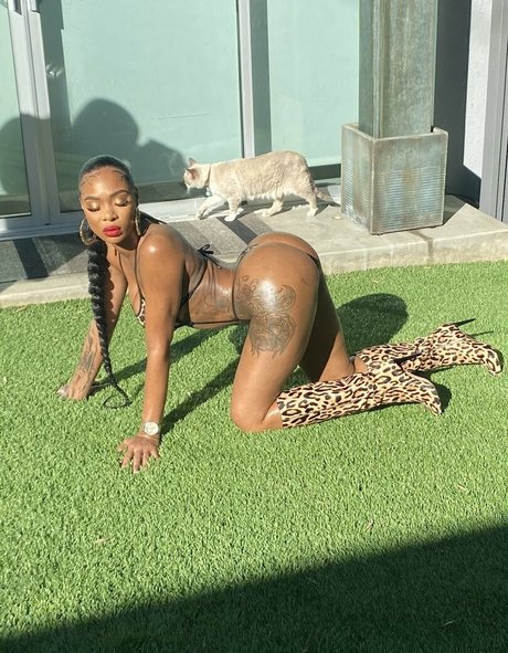 Shay brown pornstar best pic