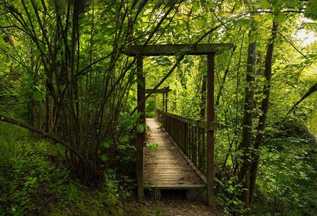 Emily O dette top actress photo