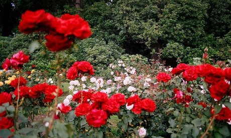 Emma Vauxdevil best actress photos