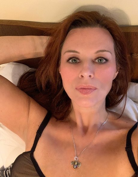 HoneyBeeZone star free archive