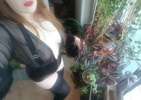 anabalfe hd pornstar gallery