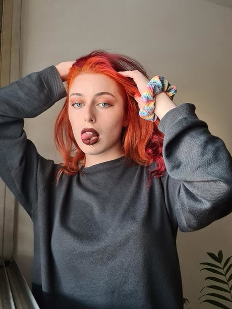 VelNick exclusive pornstar img