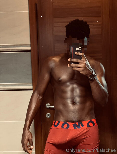 Kalachee adult model images