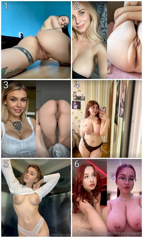 Nancyswet Profile photo