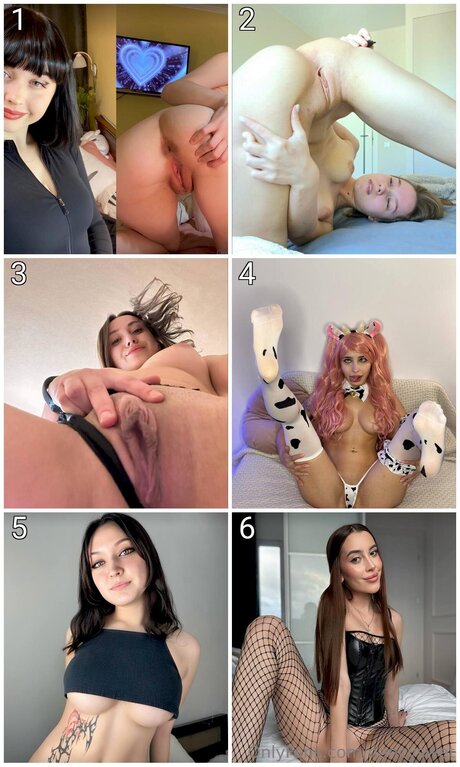 Nancyswet model archive