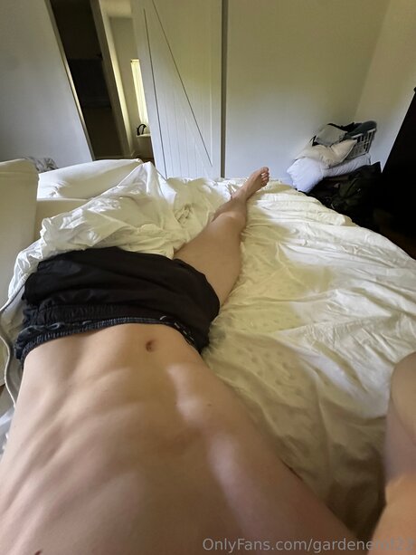 Gardenerof23 high quality star pictures