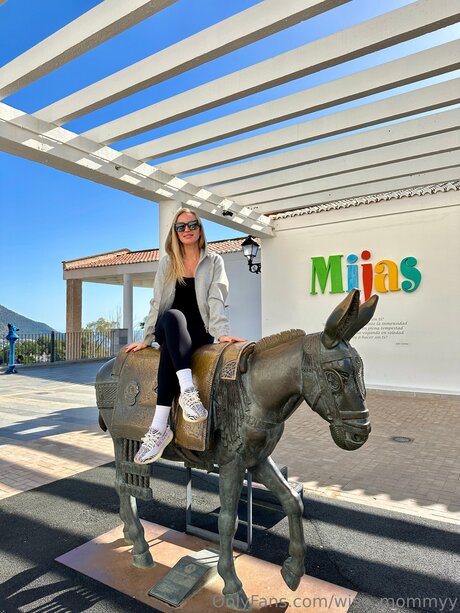 Wise Mommyy perfect star img