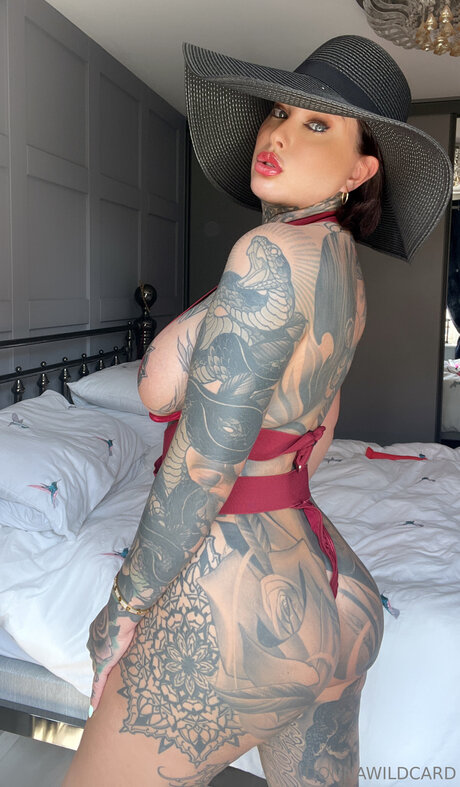 Wildcard666 pornstar high quality pictures