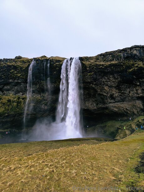 Katenaturals perfect actress pic