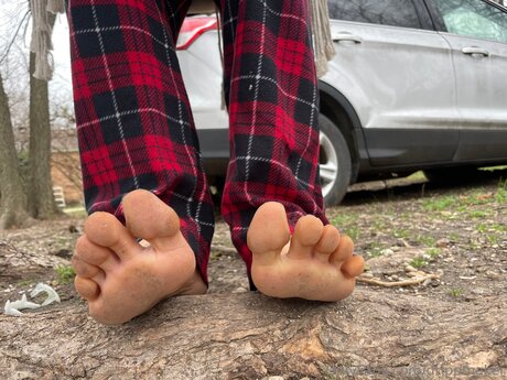 Drippmaker model pretty archive