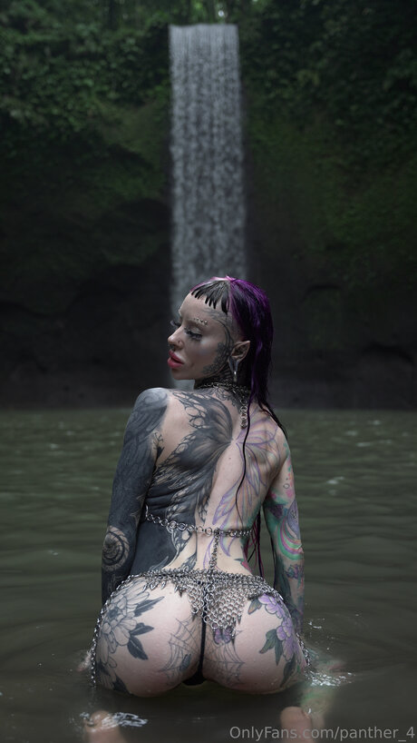 Panther 4 star top pics