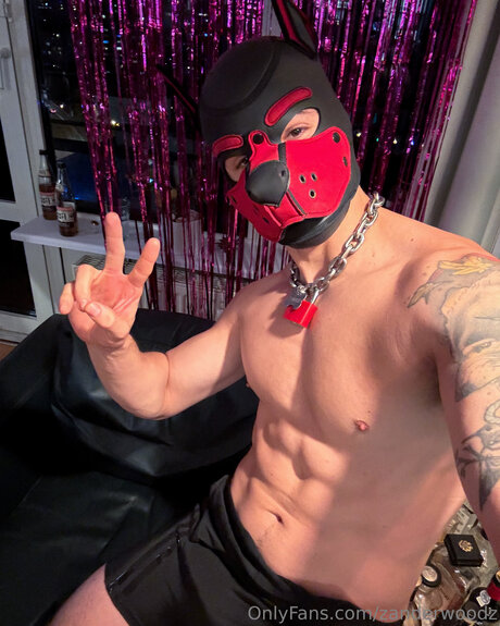 Zanderwoodz beautiful pornstar galleries