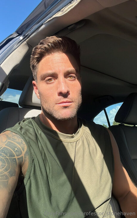 Professor Stonehaven nice model images