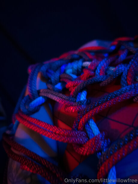 Littlewillowfree model sexy gallery