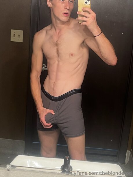 Theblonderod art pornstar image