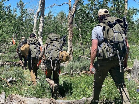 Bulletvalentina sex model galleries