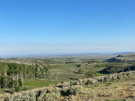 Bulletvalentina model nice img