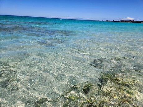 asmr summer onlyfans naked img