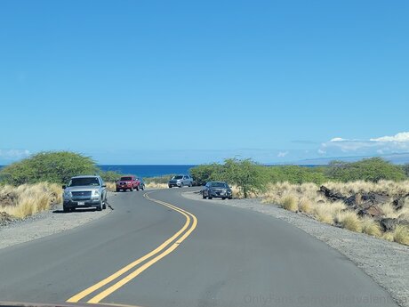 Bulletvalentina Quick photo