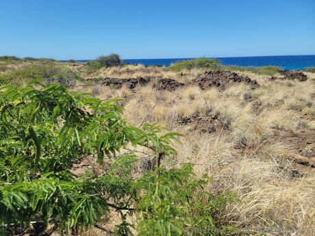 Bulletvalentina xxx star images