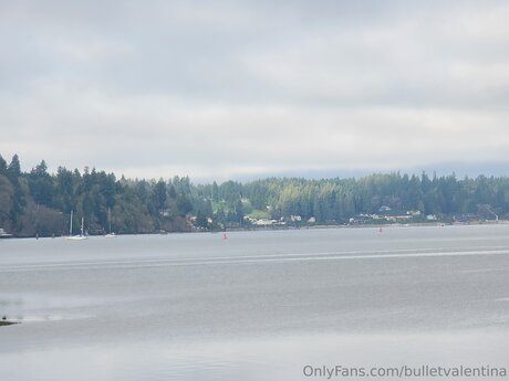 Bulletvalentina star nudes image