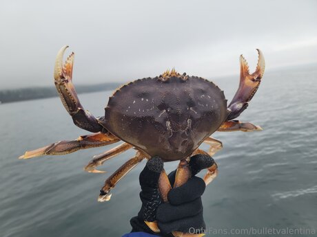 Bulletvalentina sexy model galleries