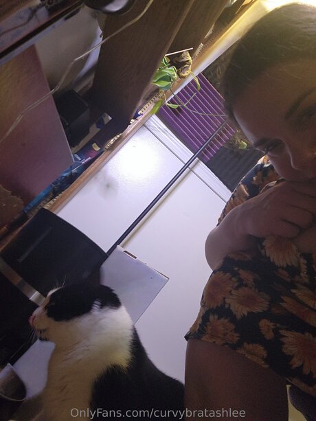 Curvybratashlee star adult images