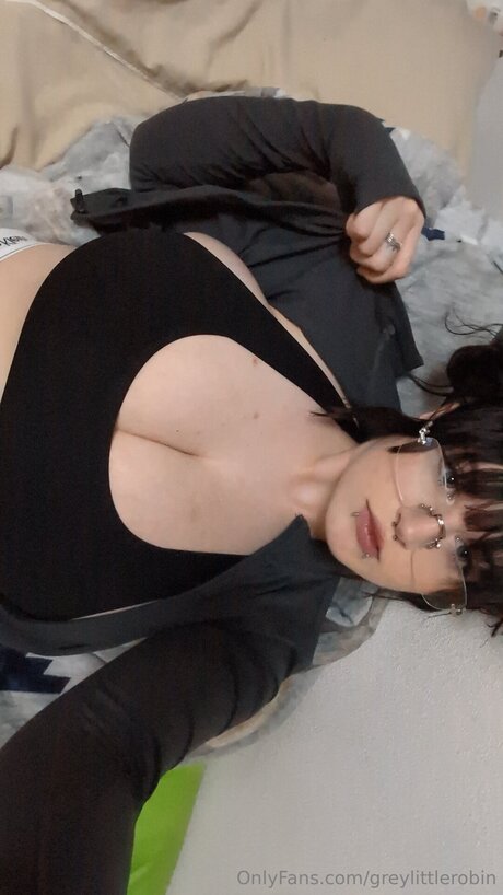 Greylittlerobin star top images