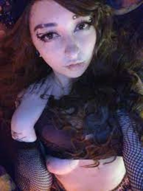 Kittens playpen_ model adult pictures