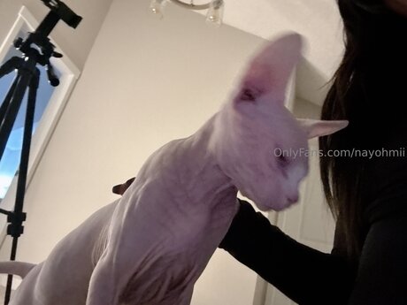 Nayohmii hot star pic