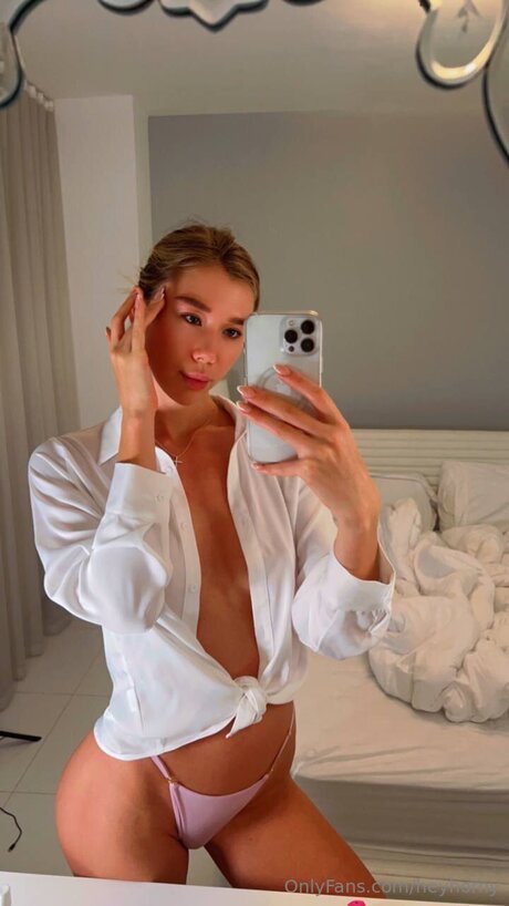 Heyhorny perfect model img