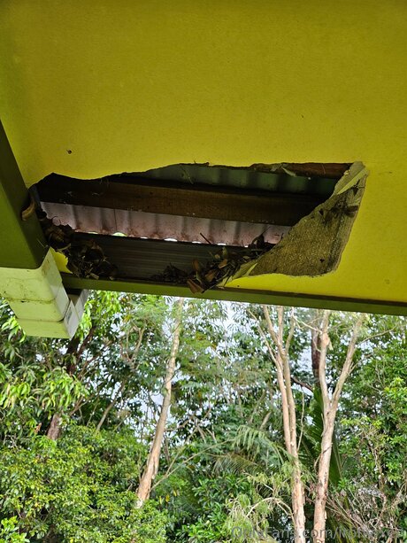 gay young onlyfans beautiful porn photos