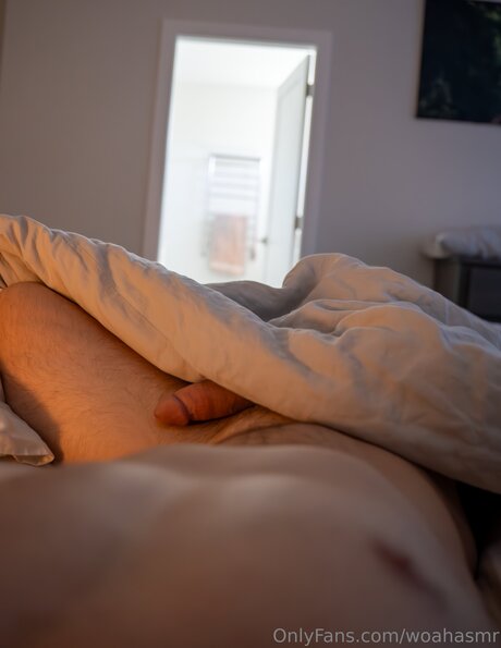 Woahasmr best star archive