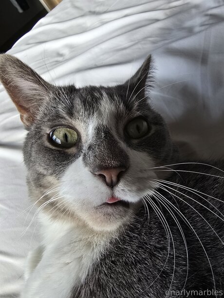 sexy anal onlyfans hot sexy pic