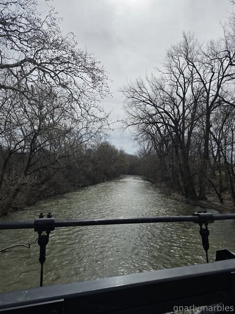 Gnarlymarbles top star pictures