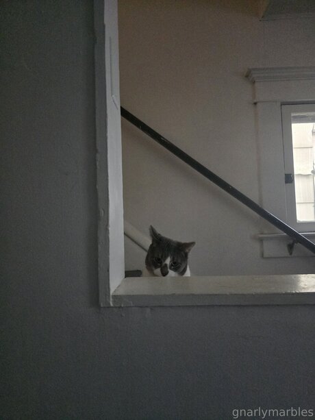 Gnarlymarbles pornstar best archive