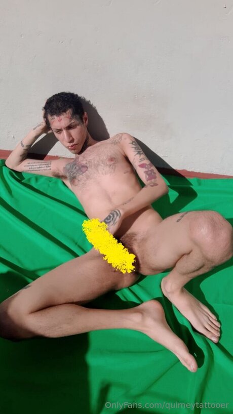 Quimeytattooer high quality pornstar galleries