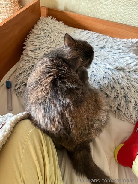 Catinhat7 nudes star gallery