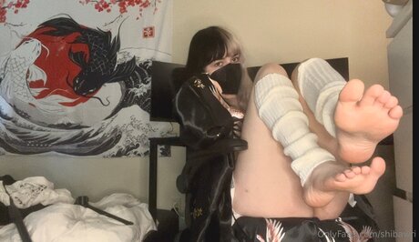 Shibawri exclusive model img