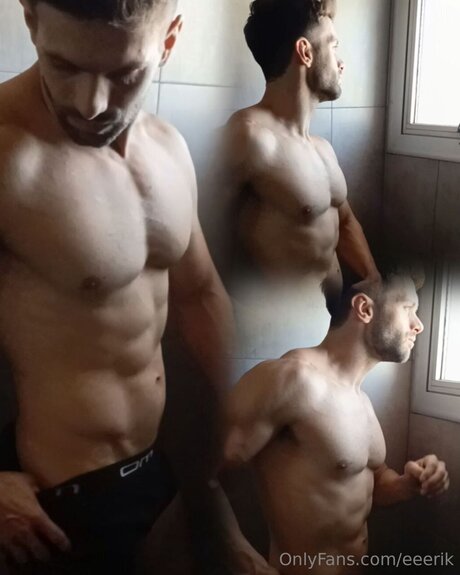 Eeerik star art pictures