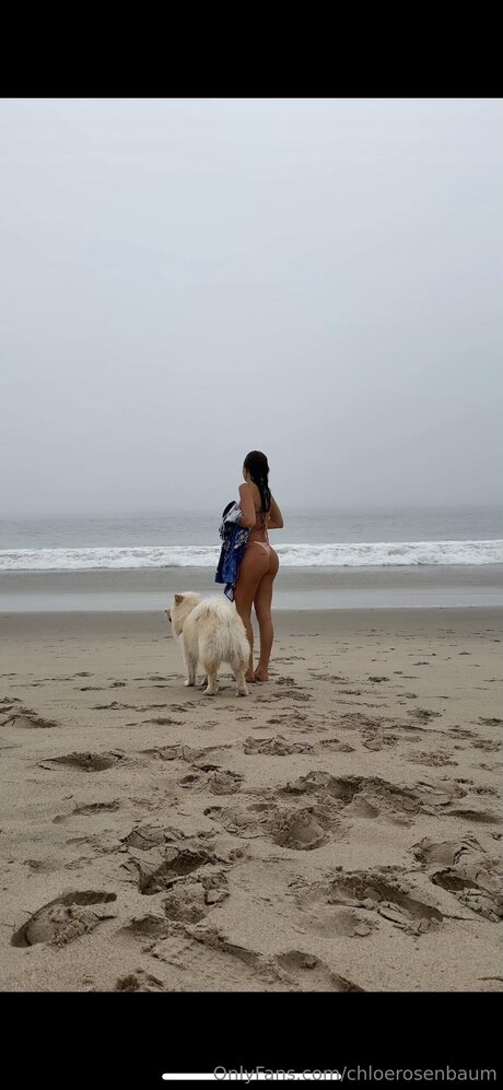 Chloerosenbaum sex pornstar pic