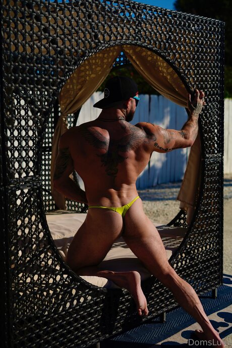 Domsluvz top star gallery