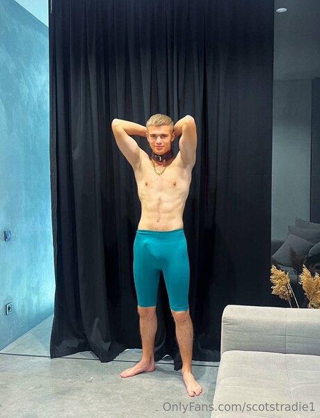 Scotstradie1 star art galleries