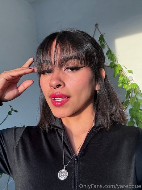 Yarepque nice star galleries