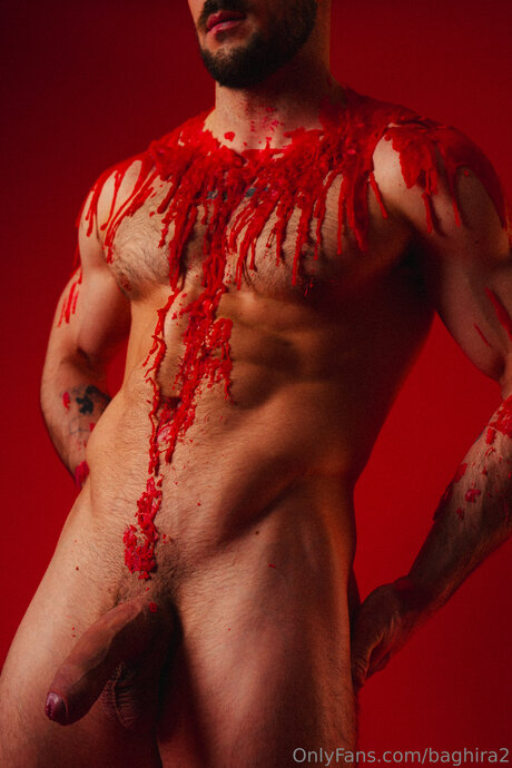 Baghira2 best model image