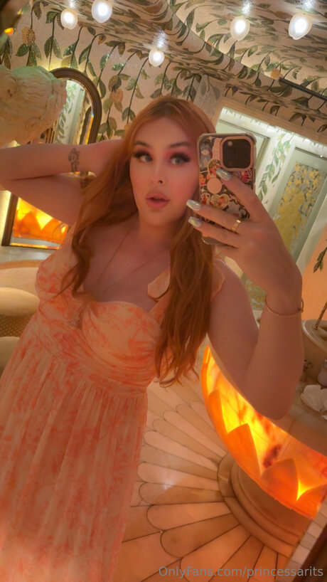 Princessarits art model img