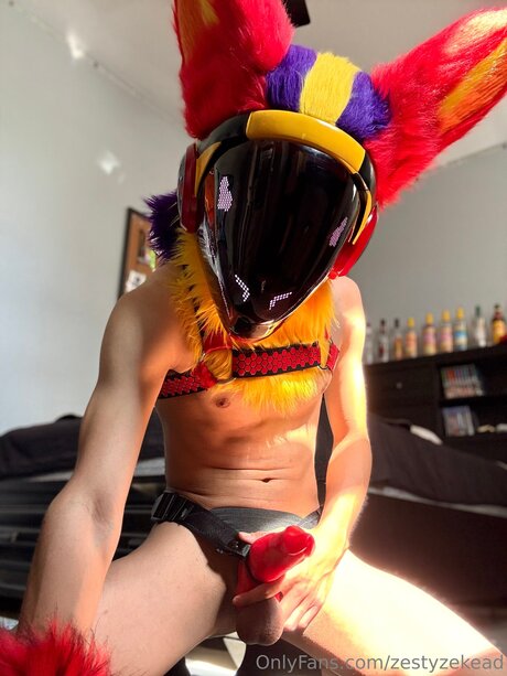 Zestyzekead star porn galleries