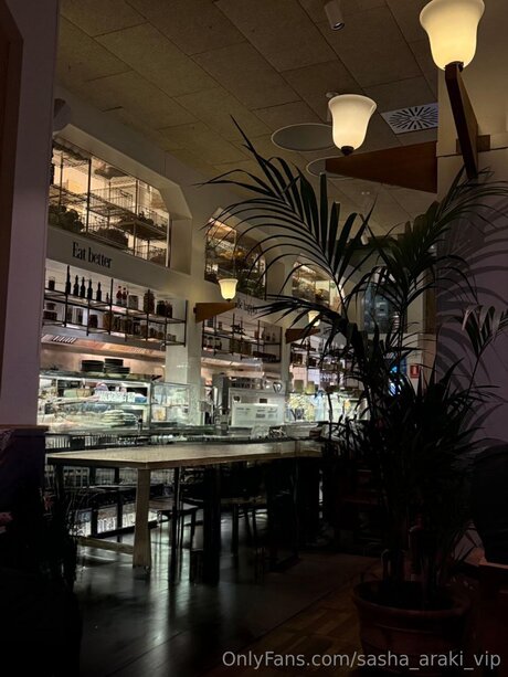 Sasha Araki Vip porn actress picture