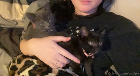 Sylvipix Young Goth Milf nudes actress photos