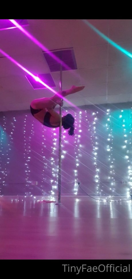 Tiny Fae model best image